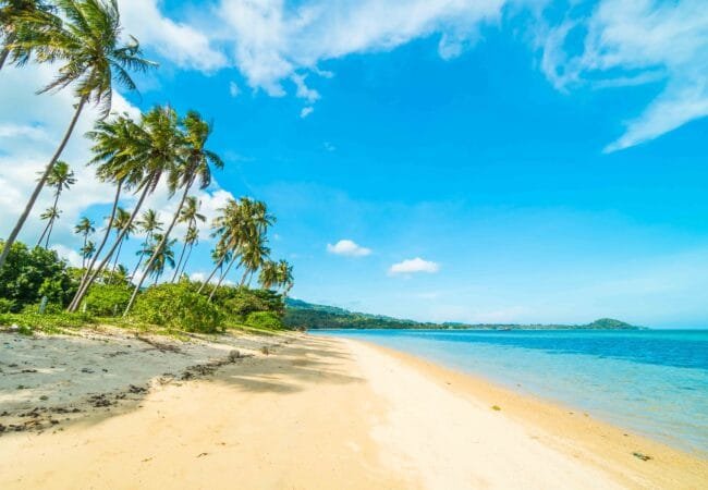 Beautiful tropical beach and sea with coconut palm tree in parad