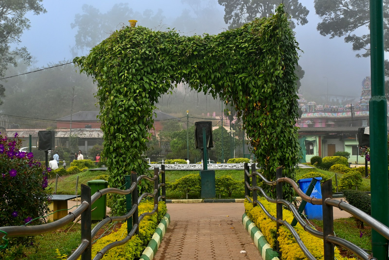 a walkway that has a bunch of plants on it